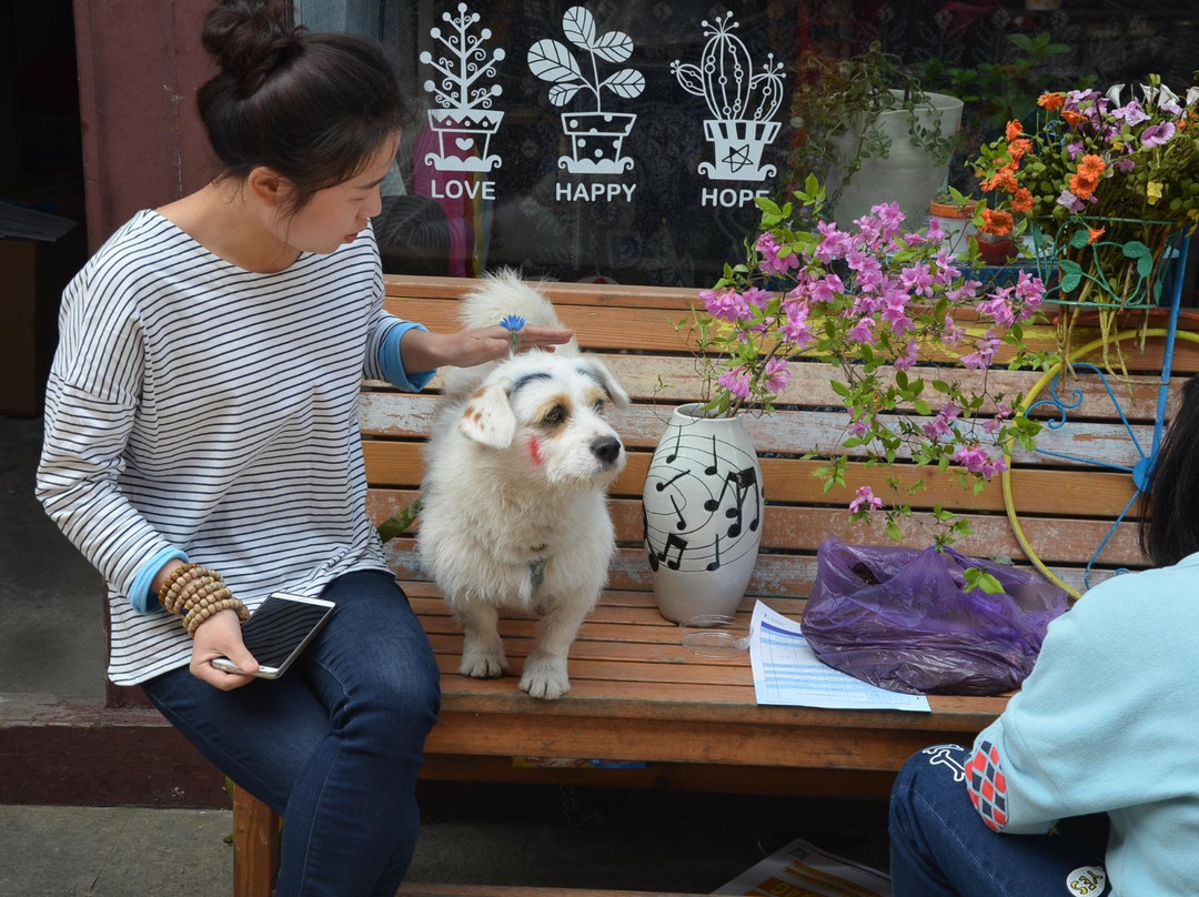 定海古城-舟山市必去景点
