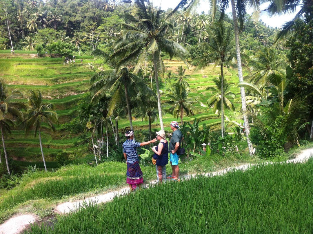 Online Bali Tour Services-孟格威必去景点