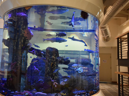 Kodiak Laboratory Aquarium & Touch Tank-Kodiak必去景点