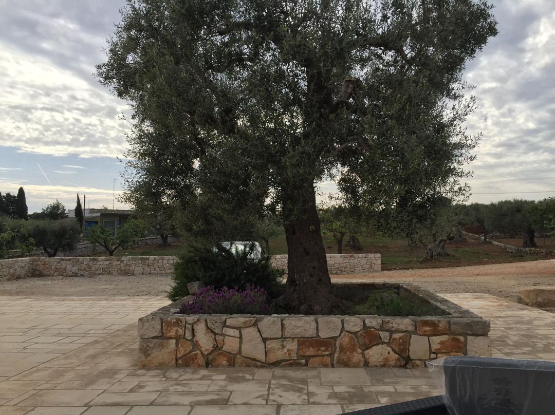 Azienda Agrituristica Laire景点图片