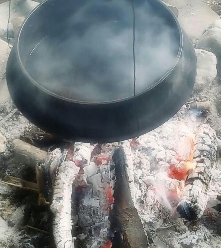 Kicheongsan Botanical Gardens-浦项市必去景点