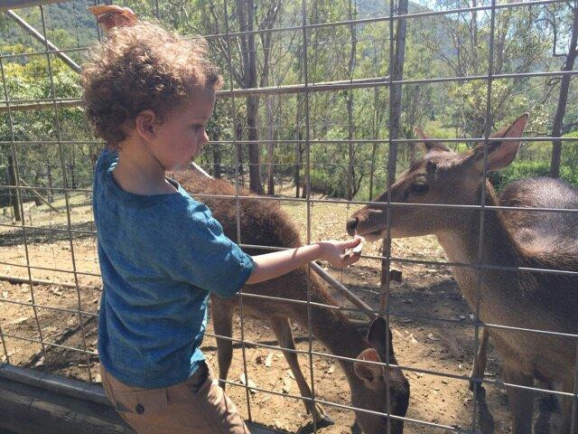 Lyell Deer Sanctuary景点图片