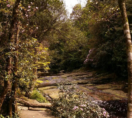 广西大明山-武鸣县必去景点
