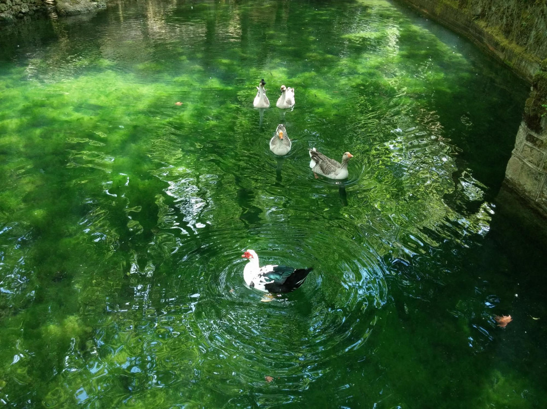 Rema Ton Mylwn-Evrostina必去景点