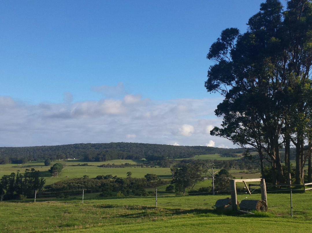 Valley of the Giants Bed and Breakfast主图