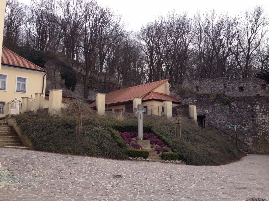 Roman Catholic Church of the Birth of Virgin Mary景点图片