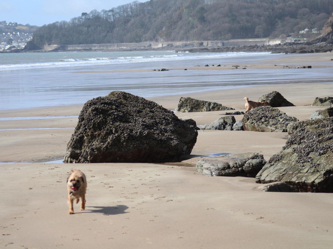 Amroth旅游攻略图片