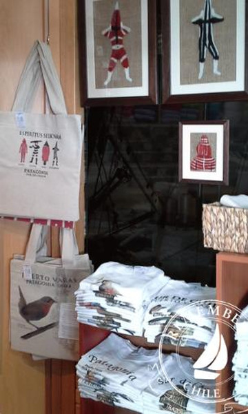 Remember Me Chile-巴拉斯港必去景点