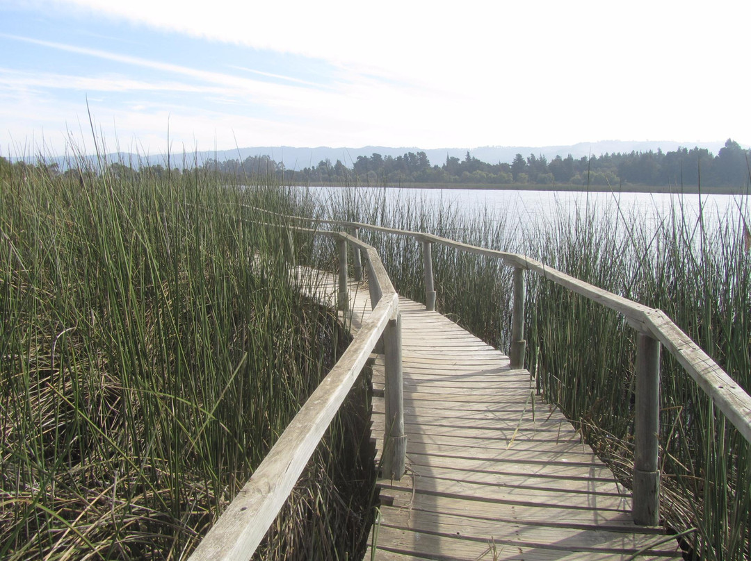 Reserva Nacional Laguna Torca景点图片