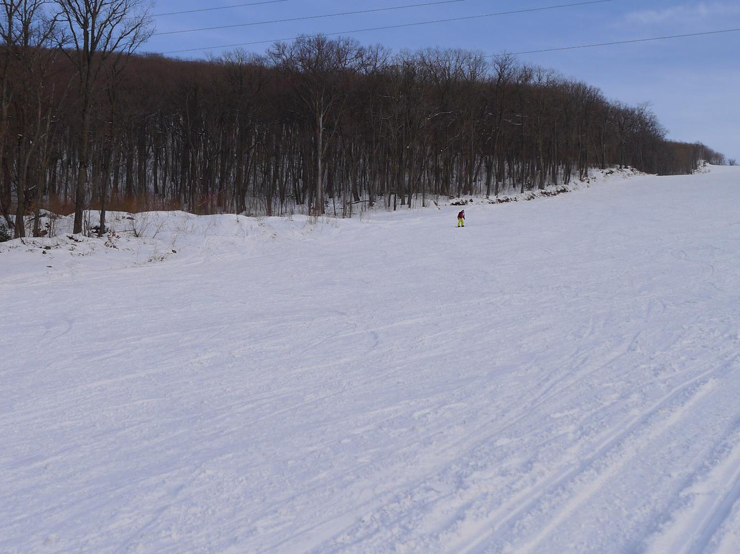 Ski Base Arsgora景点图片