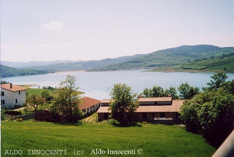 Lago di Montedoglio景点图片