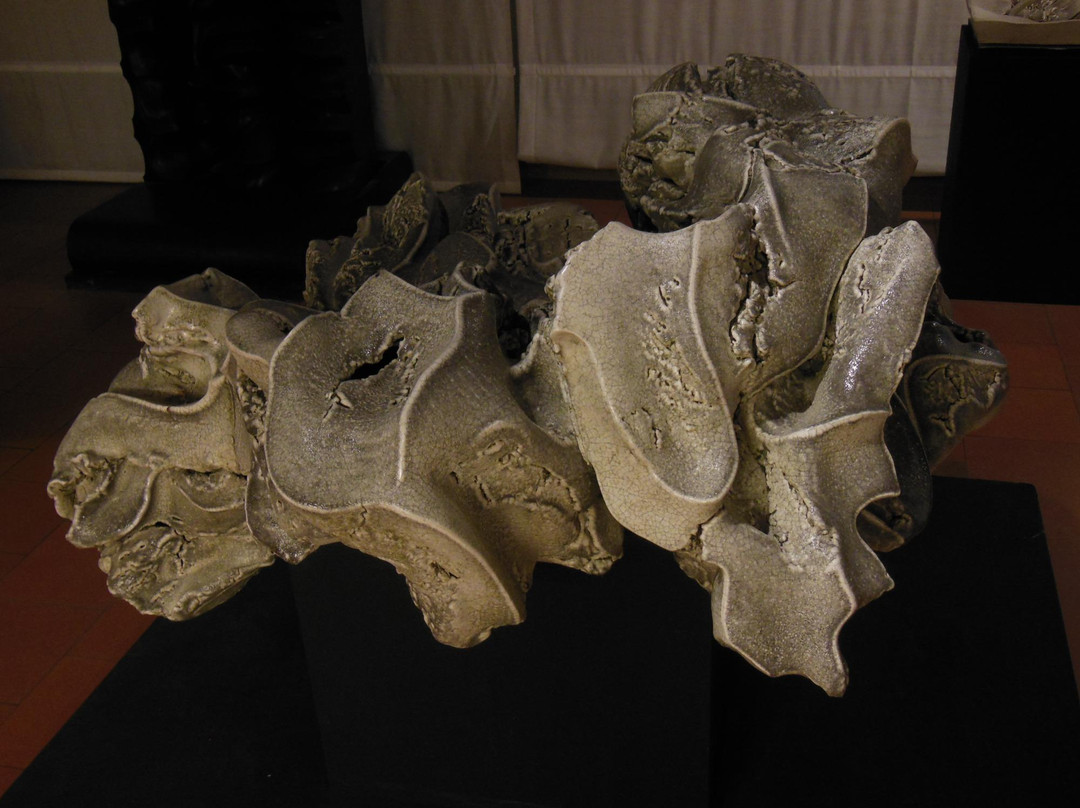 Museo Carlo Zauli景点图片