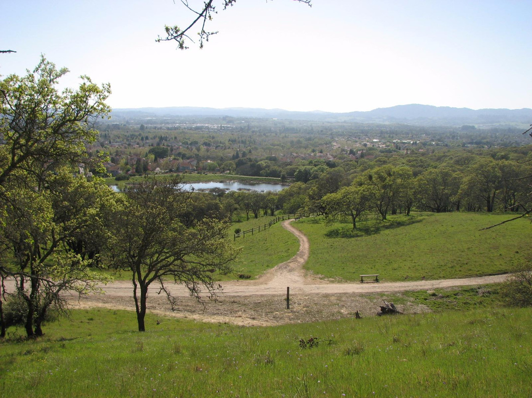 Foothill Regional Park景点图片