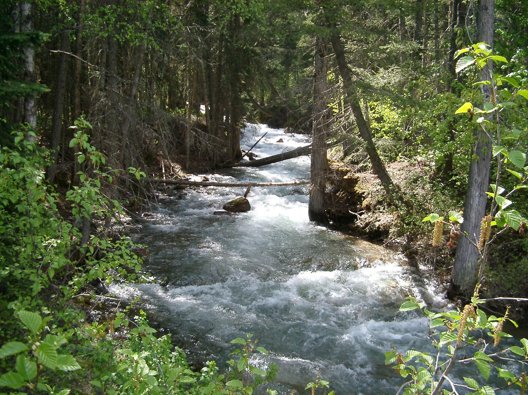 Half Way Hotel主图