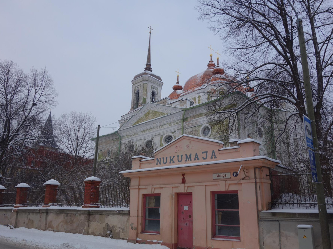 Uspenski Cathedral of the Estonian Apostolic Orthodox Church-塔尔图必去景点
