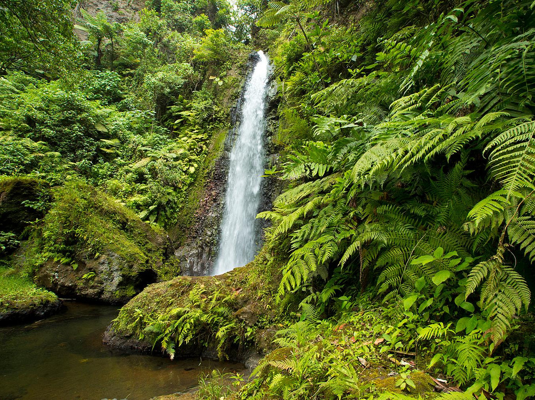 塔纳岛旅游景点-Lenuanatuaiu Waterfall