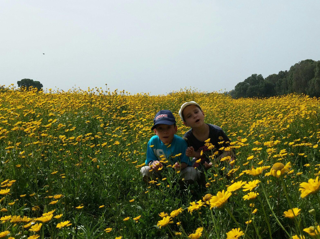 HaSharon Park-Hadera必去景点