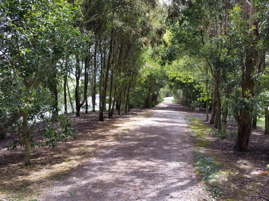 Bell's Parade-Latrobe必去景点