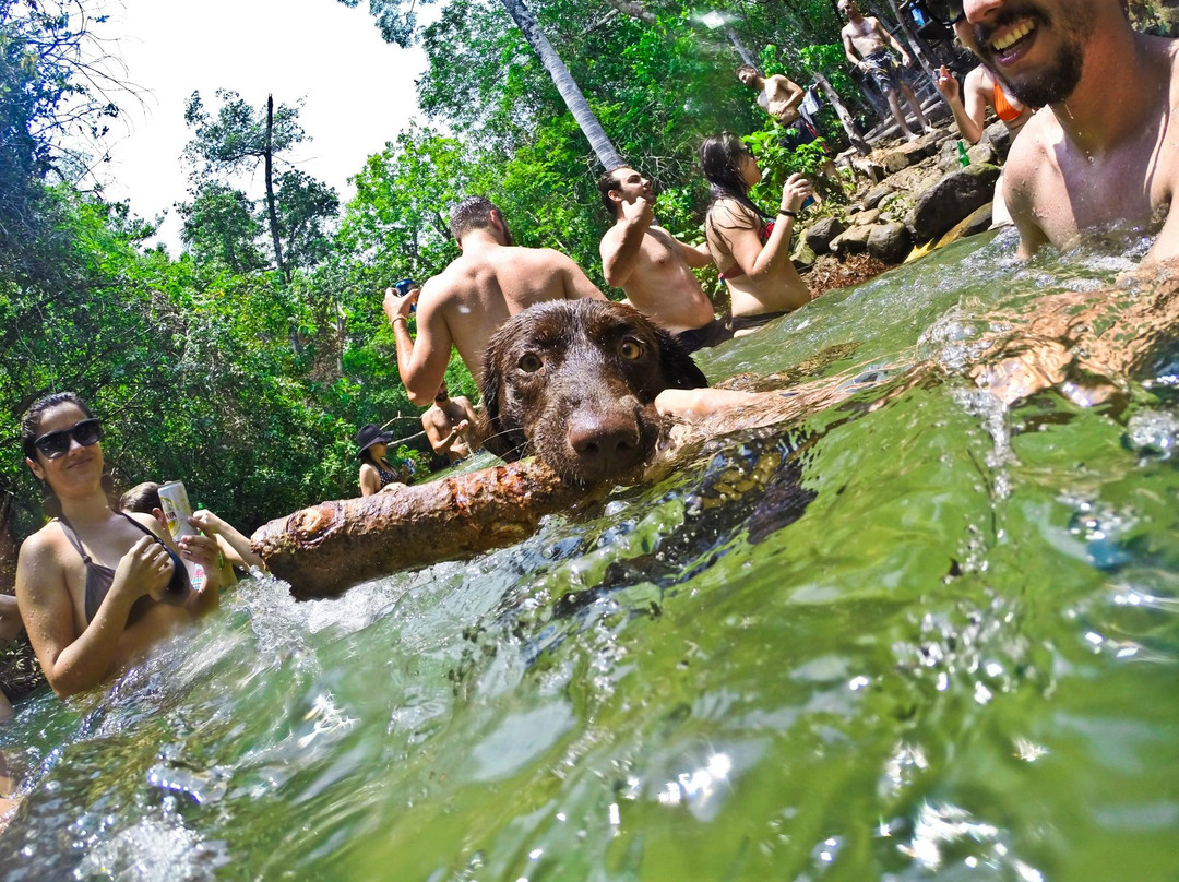 Sítio Passarim主图