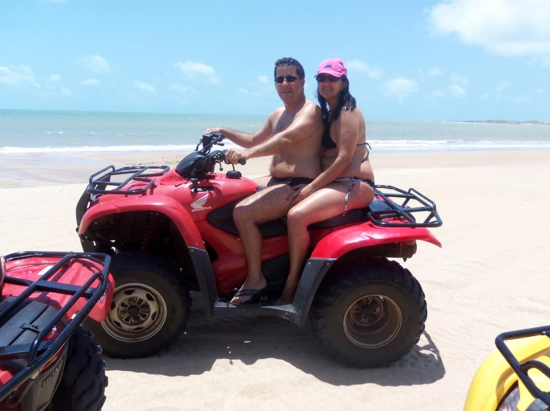 Discovery Brasil Tours - Day Tours景点图片