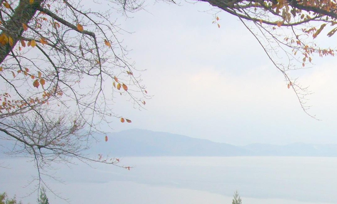 Katamaeyama Forest Park-仙北市必去景点