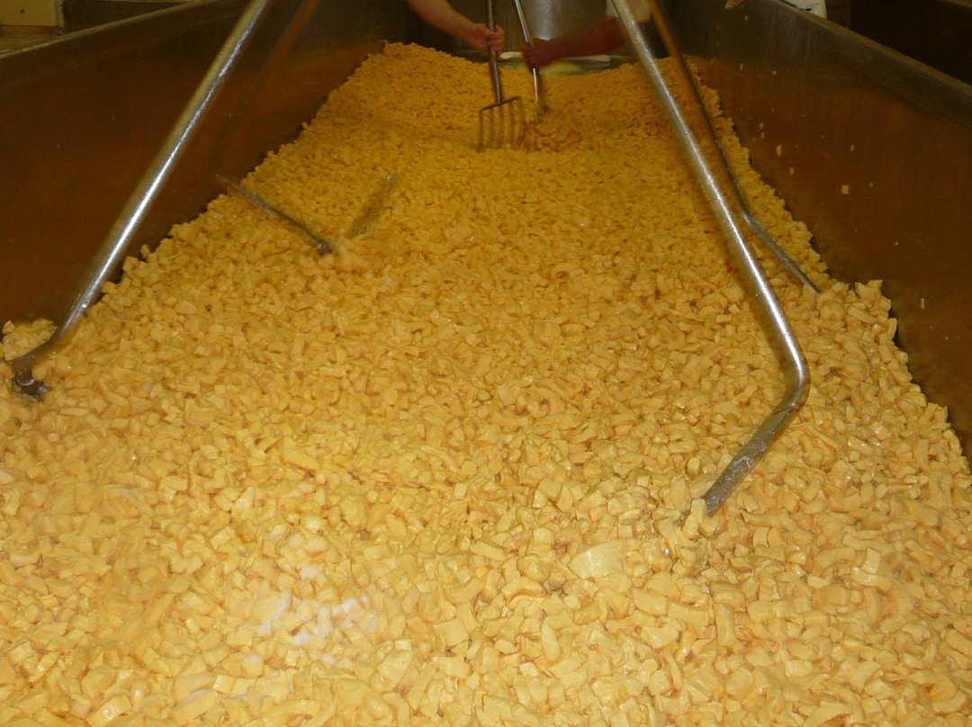 Springside Cheese Corp-Oconto Falls必去景点