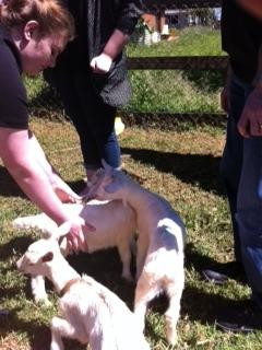 Providence Farm-下碧池蒙特区必去景点