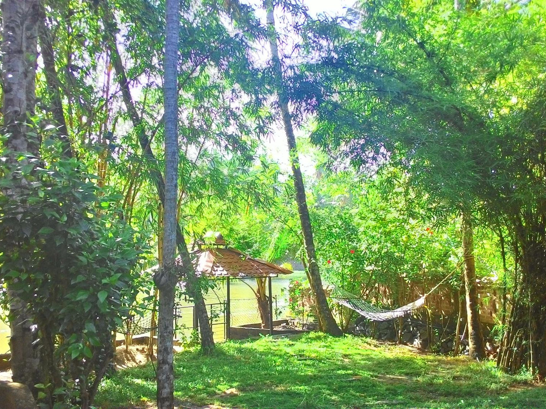 Mitra Hermitage Ayurvedic- Day Packages-提卢湾安塔普兰（特里凡德伦）必去景点