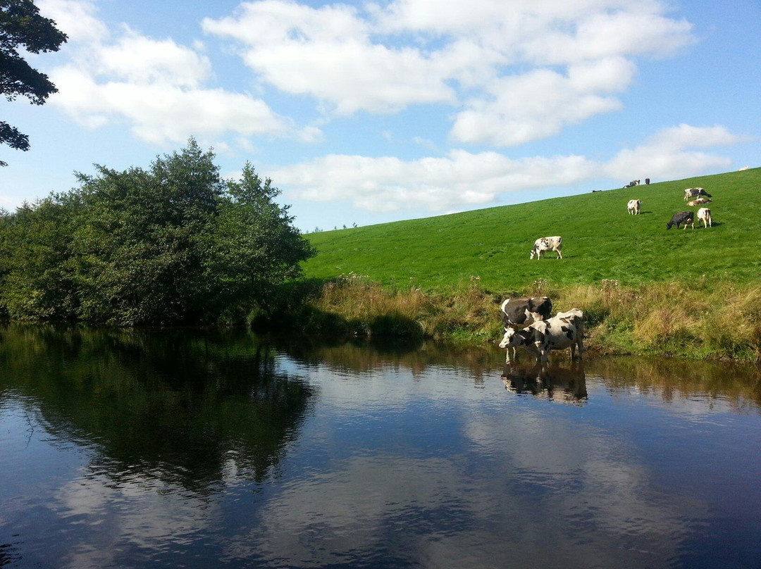 Leeds and Liverpool Canal景点图片