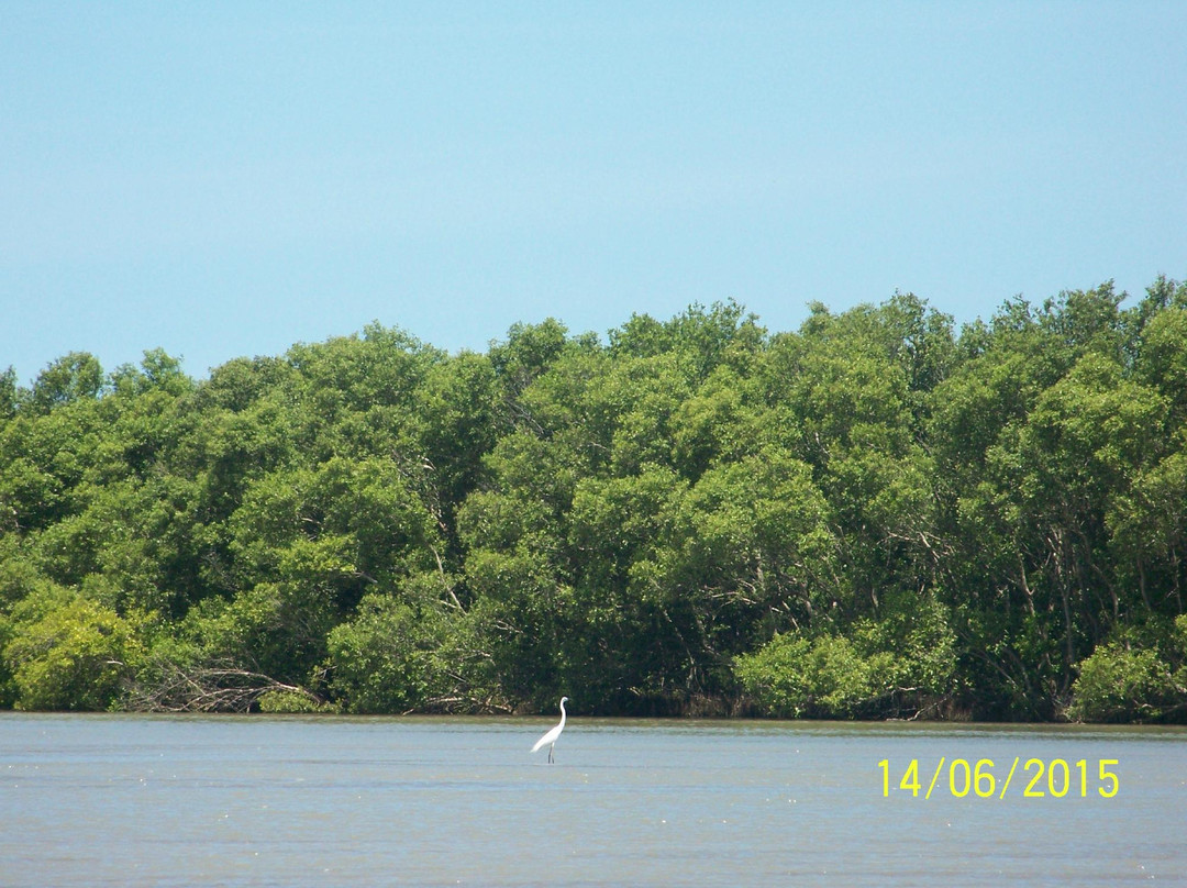 Muthupet Lagoon景点图片