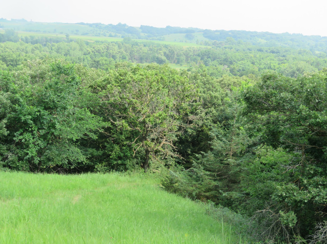 The Blood Run Nature Area-苏福尔斯必去景点
