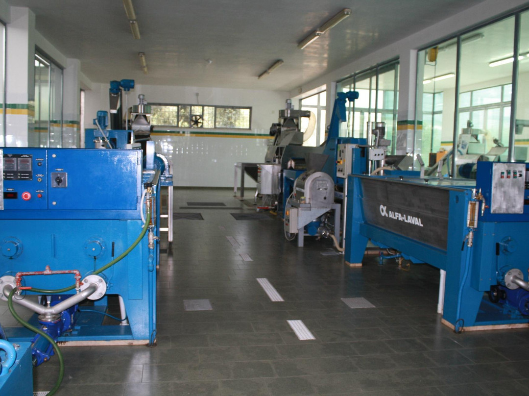 Azienda Agricola Biologica IL Frantolio DI D'amico Pietro-Cisternino必去景点