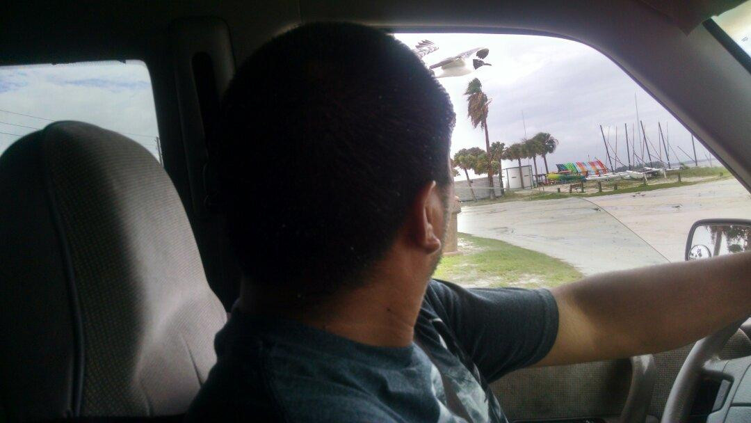 Edgewater Park-达尼丁必去景点