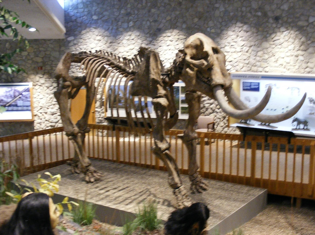 Mastodon State Historic Site景点图片