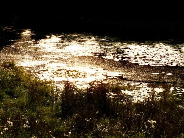 Lake of the Woods景点图片