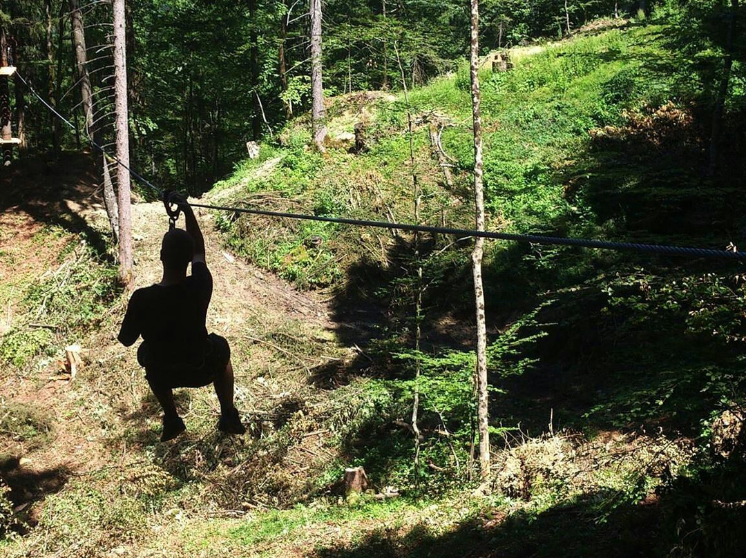 Zipline Bohinj-Bohinjska Bistrica必去景点