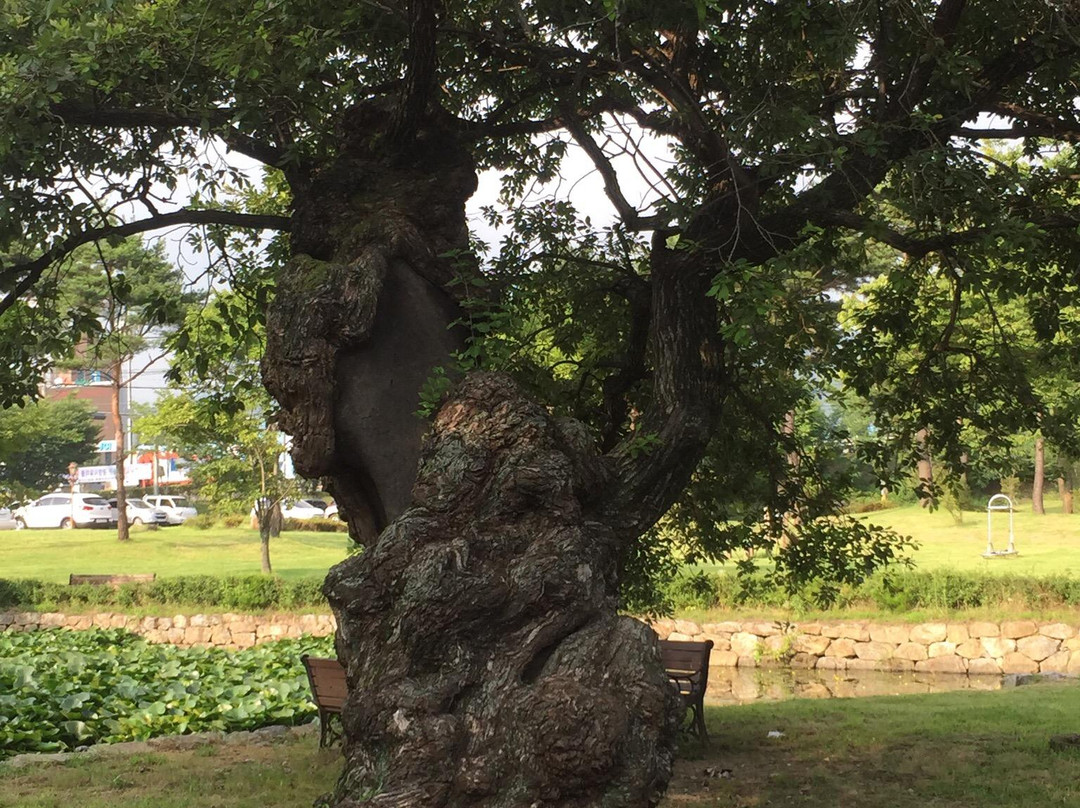 Yudang Park-光阳市必去景点