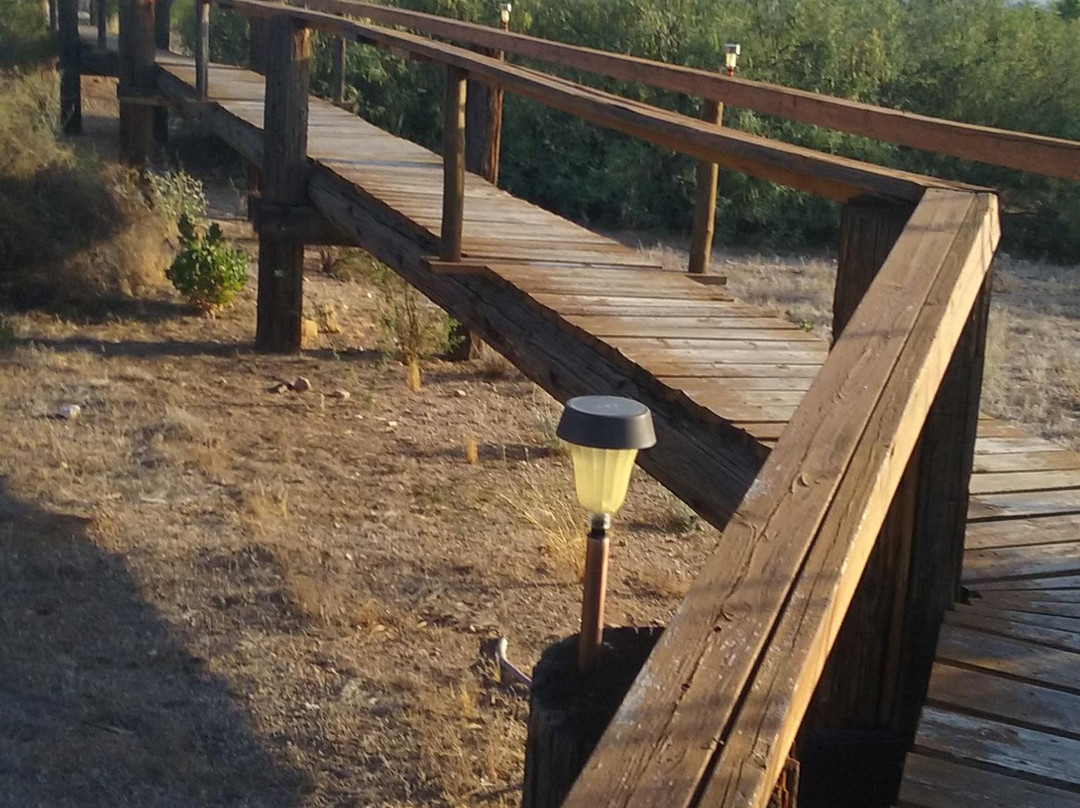 Hidden Oasis RV Park