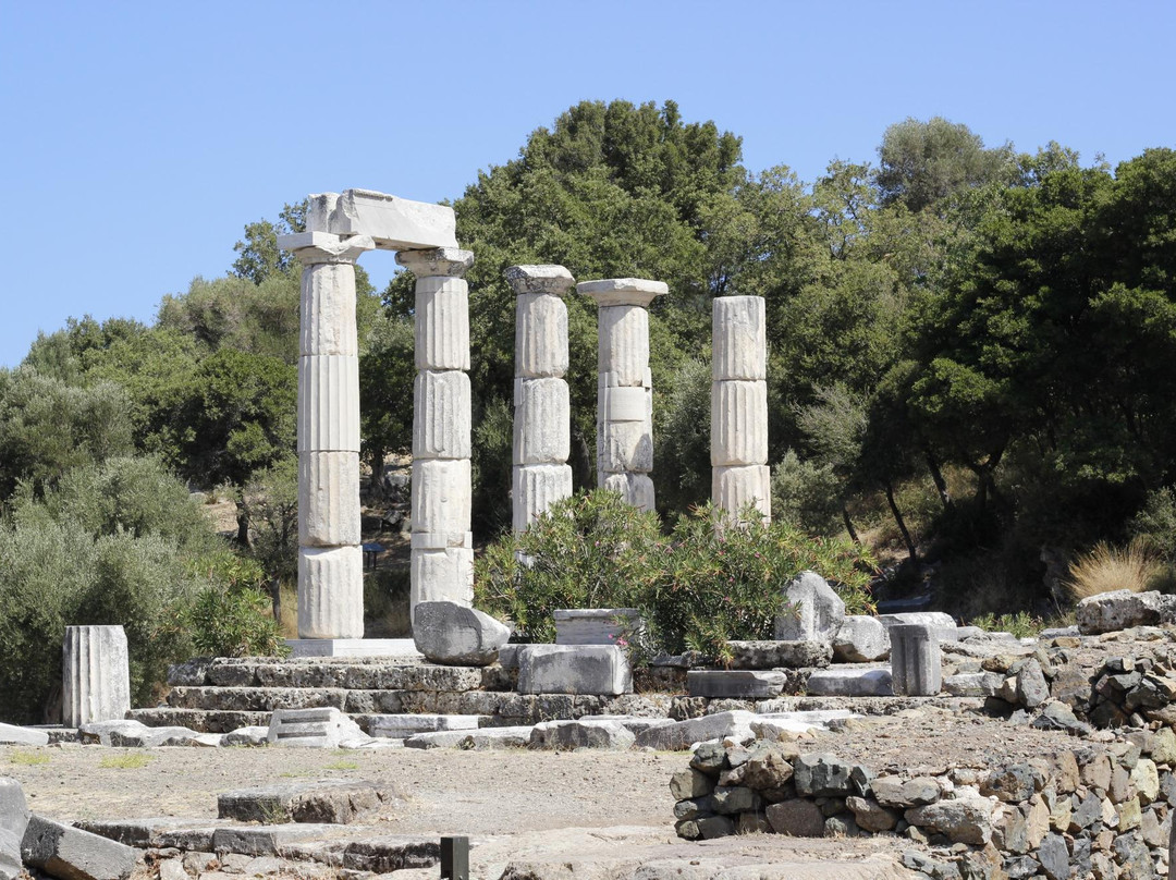 Sanctuary of the Great Gods-Palaiopoli必去景点