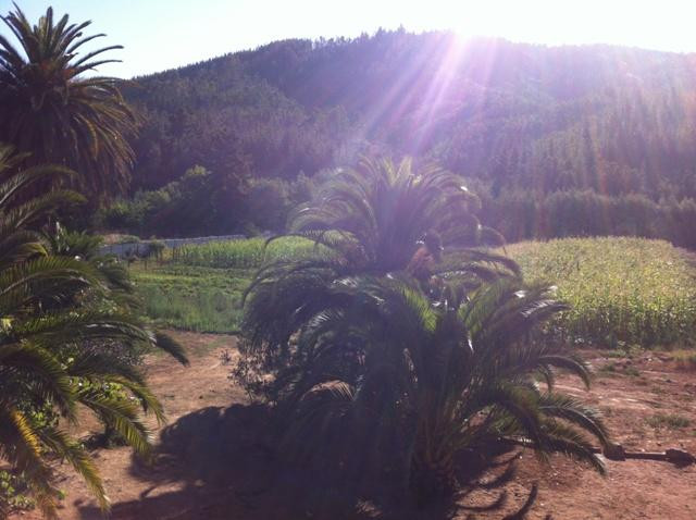 Hotel Parador Vichuquen主图