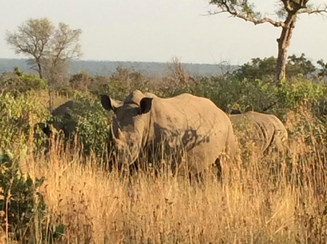 Kruger Sky Shuttle Service-赫拉斯科普必去景点