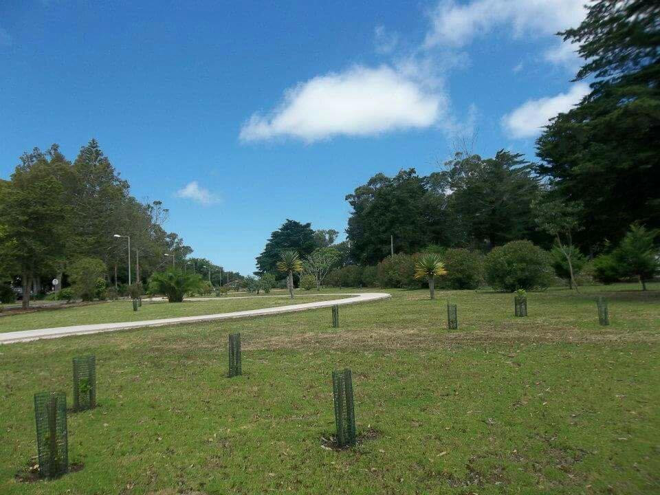 Reserva Florestal de Recreio de Valverde-Santa Maria必去景点