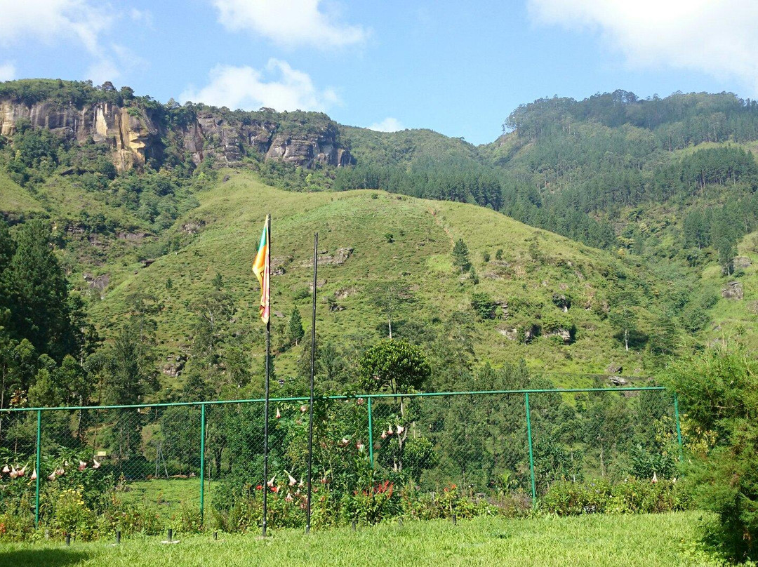 蓝田茶园景点图片
