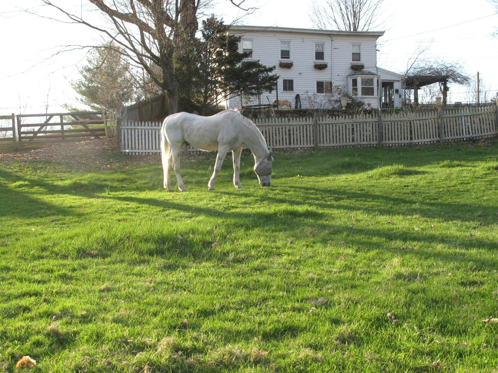 MeadowLark Farm Bed and Breakfast-浴室