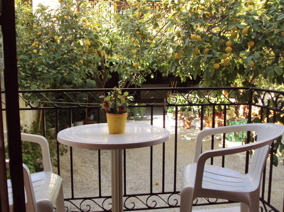 Sunshine Pension主图