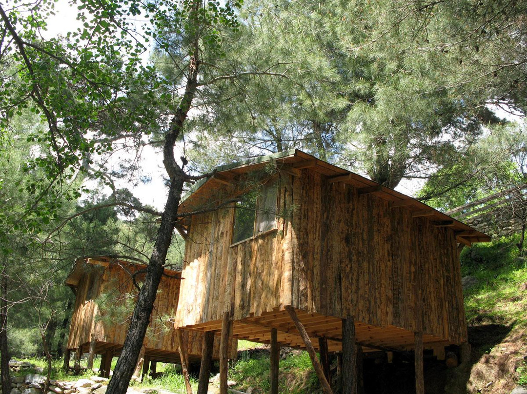 Hizir Camp