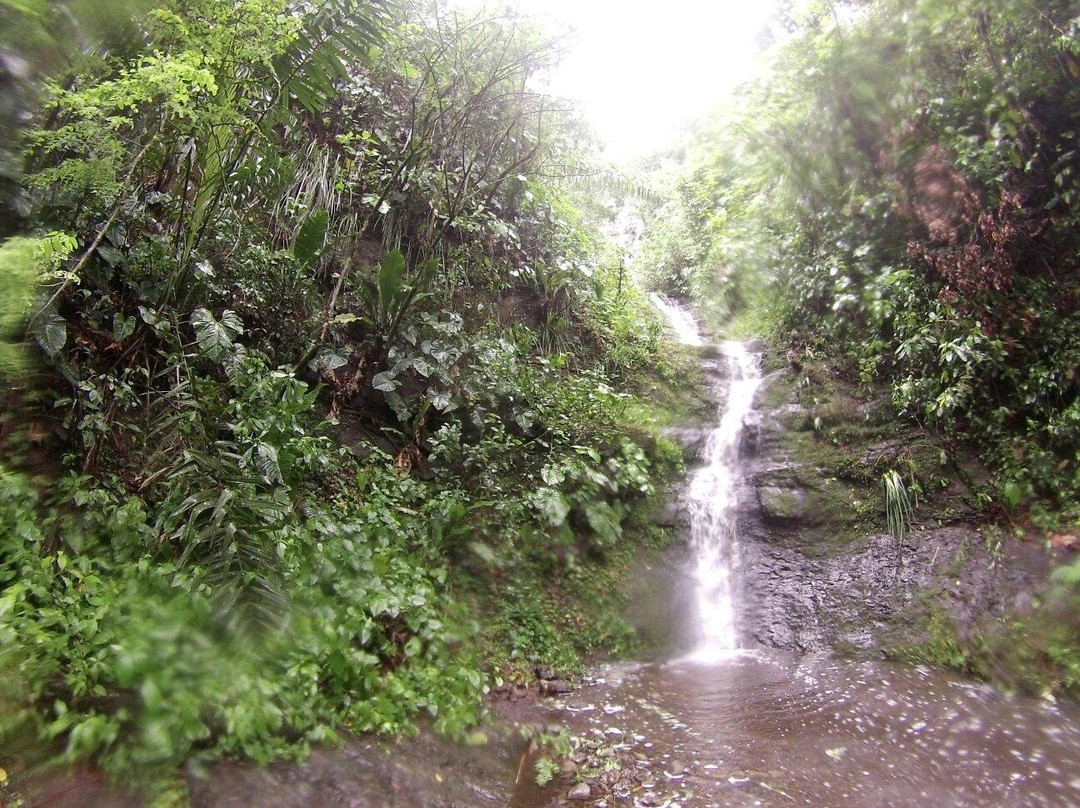 Cascadas de Dos Mangas-Montanita必去景点