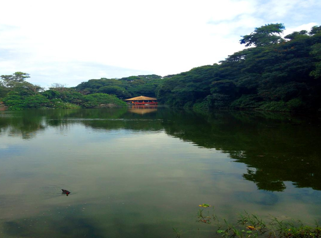Parque Zoologico Municipal Quinzinho De Barros-索罗卡巴必去景点