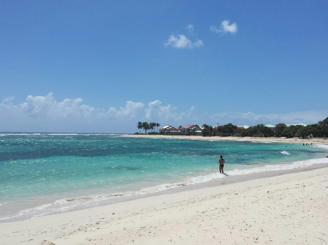Plage des Raisins Clairs-Saint Francois必去景点