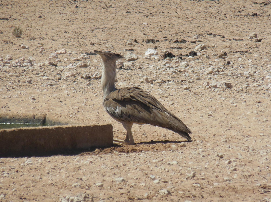 Macit Tours - Day Tours-桑顿必去景点